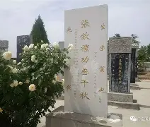 迈阿密国际比赛